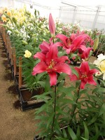 [4155 Believe Mak No01.JPG]